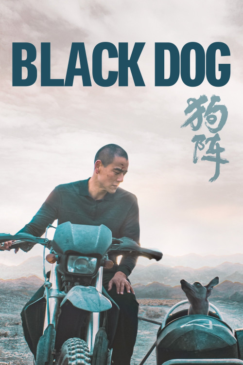 Black Dog (2024)