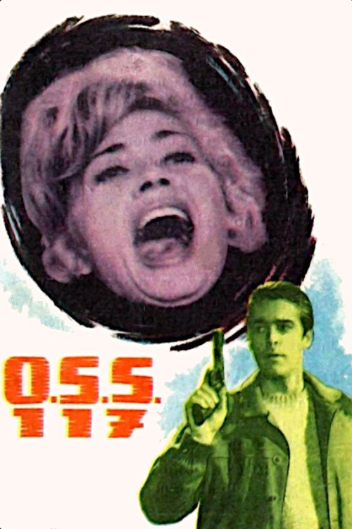 OSS 117 se déchaîne (1963)