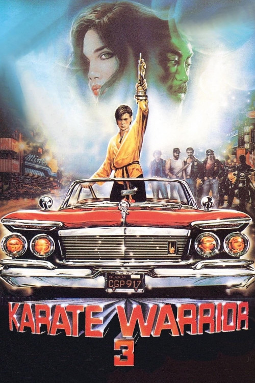 Karate Warrior 3 (1991)