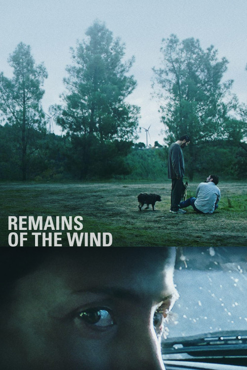 Remains of the Wind (2022)