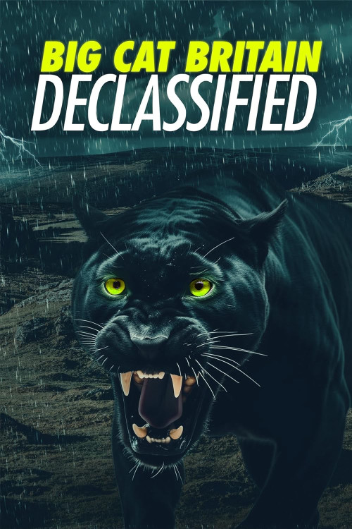 Panthera Britannia Declassified/Big Cat Britain Declassified (2023)