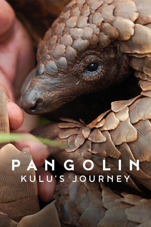 Pangolin: Kulu’s Journey (2025)