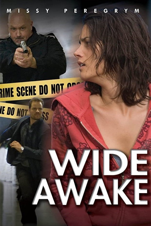 Wide Awake (2007)